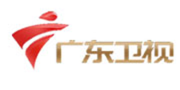 广大卫视